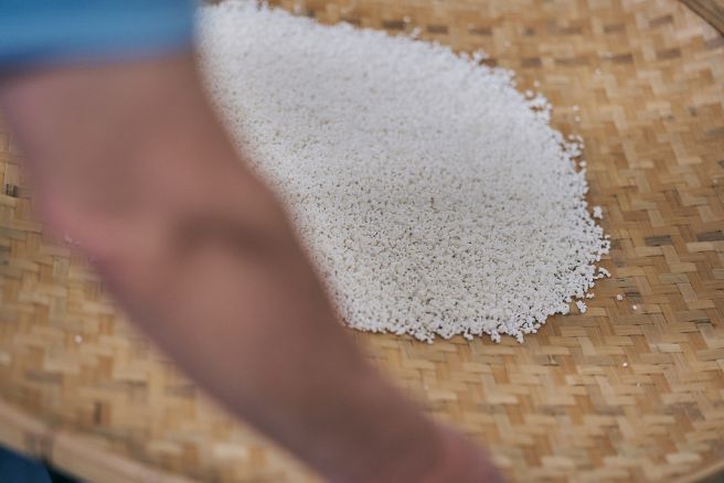 今でも蒸米や麹の仕込みなど多くの工程が、昔ながらの手作業で丁寧に行われます。