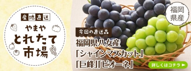 とれたて市場 ぶどう