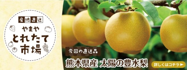 とれたて市場 梨