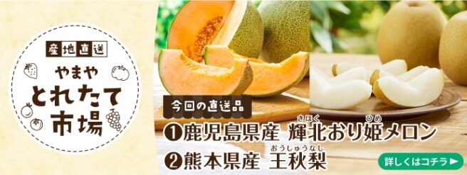 やまや とれたて市場