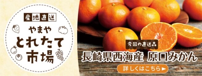 長崎県西海産 原口みかん｜とれたて市場