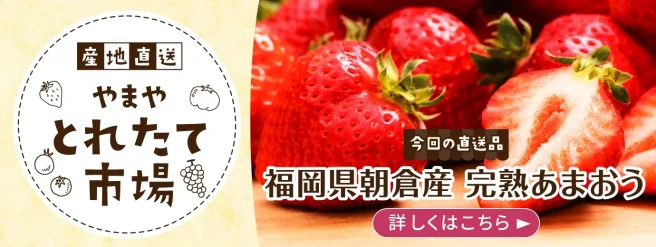 とれたて市場 あまおう